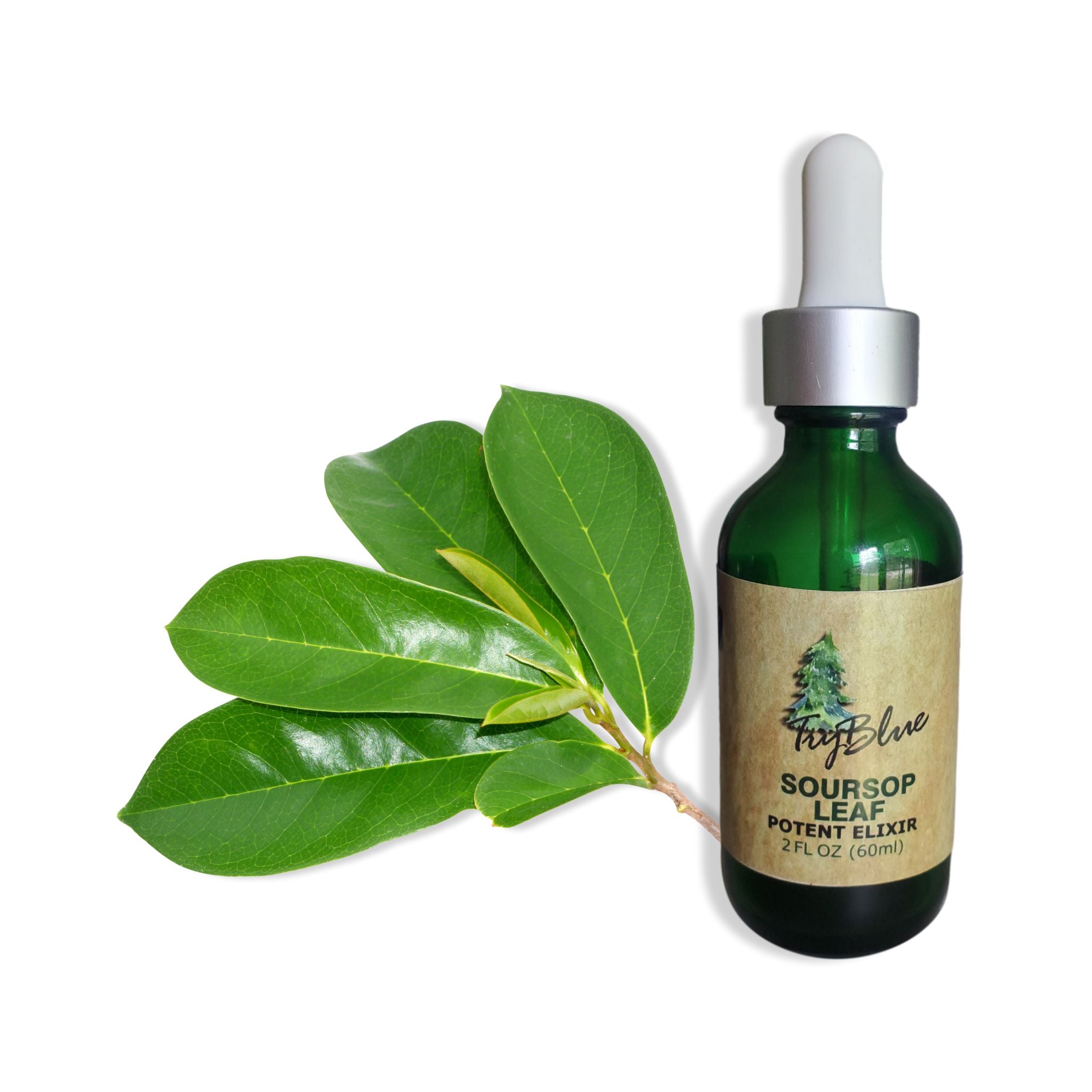 Soursop Leaf Elixir